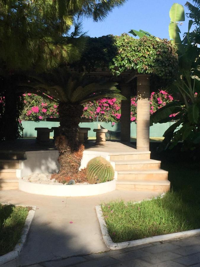 Nostrana Village Apartments Koskinou  Dış mekan fotoğraf