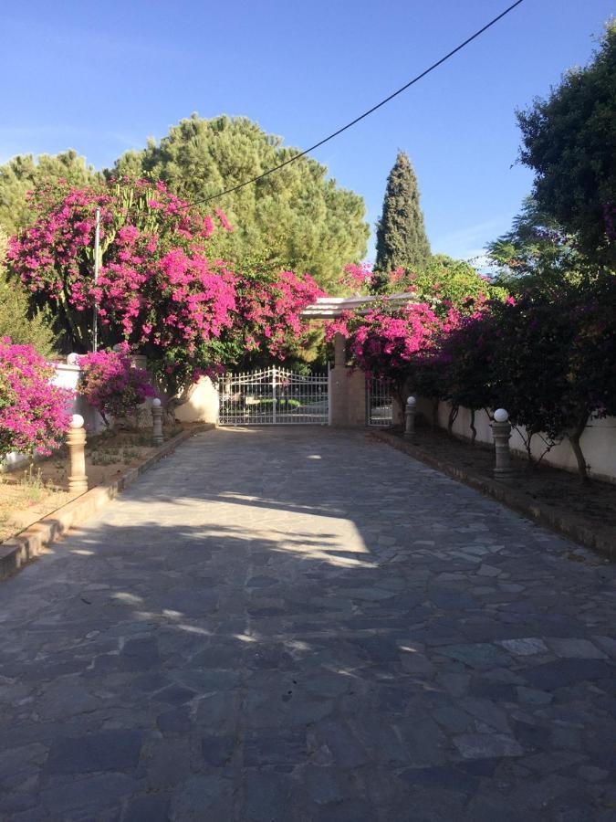 Nostrana Village Apartments Koskinou  Dış mekan fotoğraf